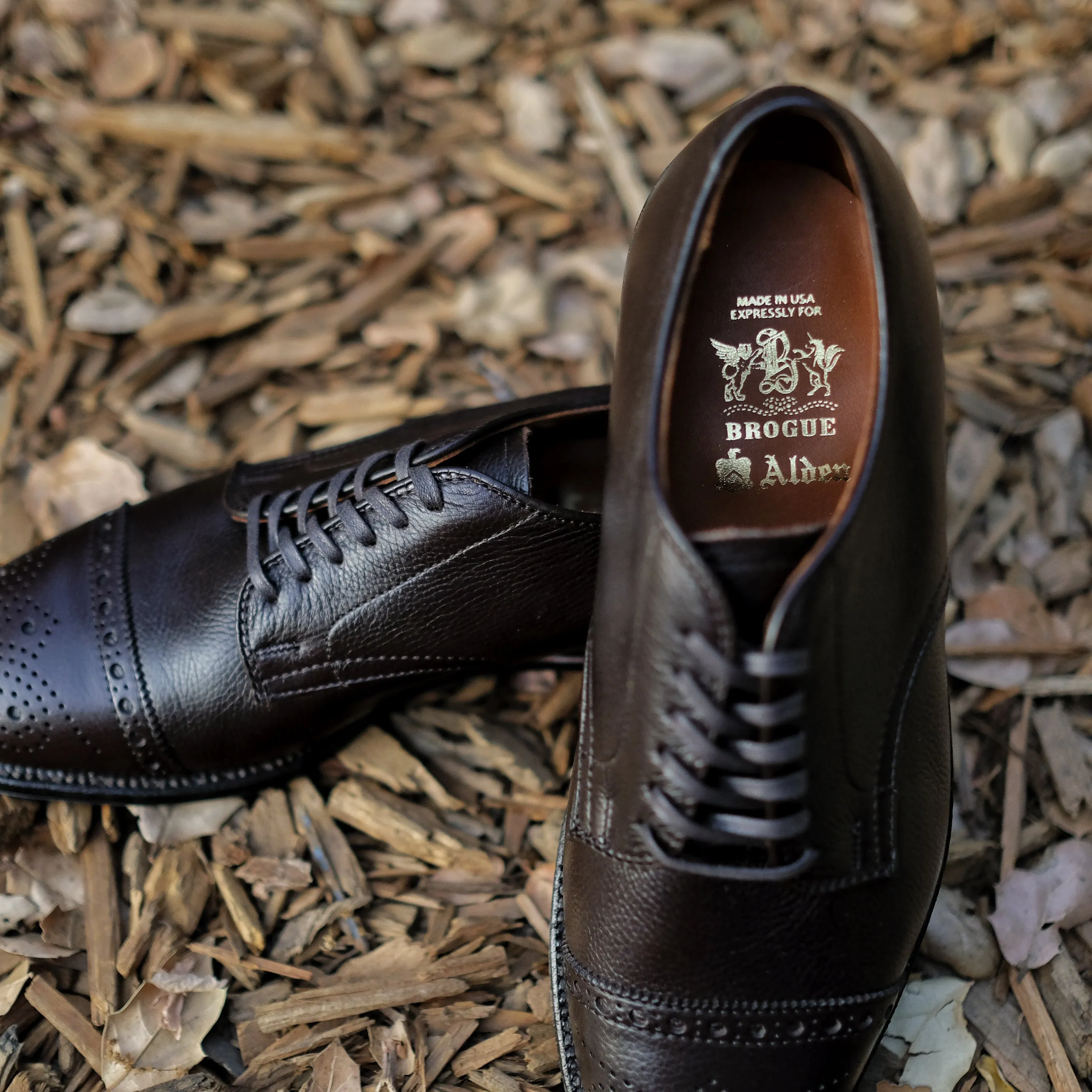 Alden x Brogue Cigar Club Derby