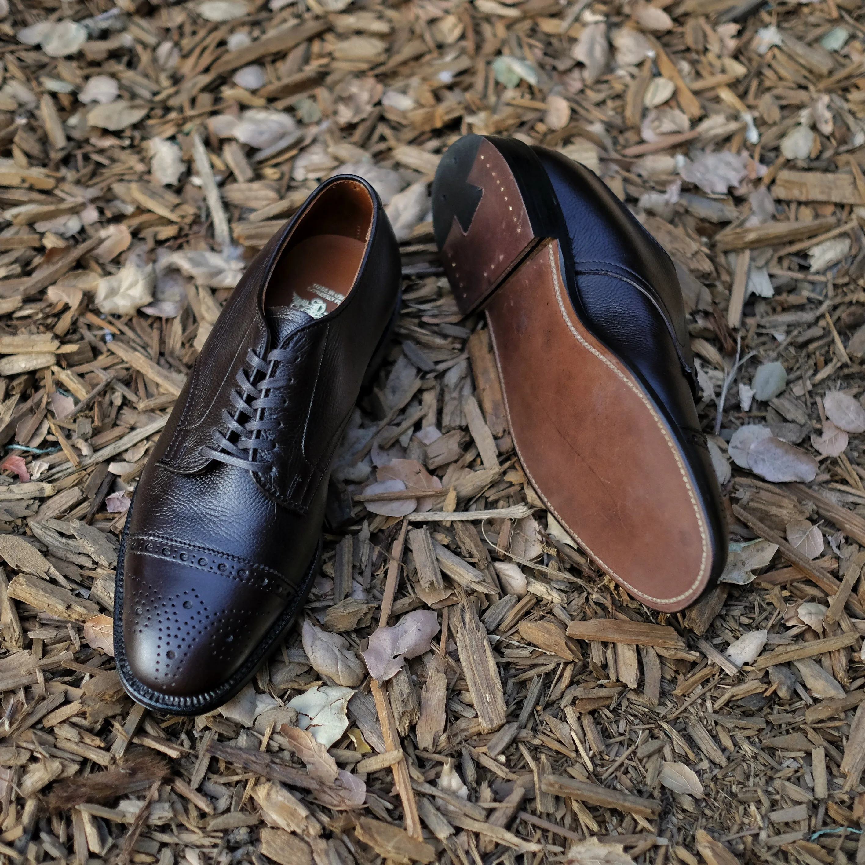 Alden x Brogue Cigar Club Derby