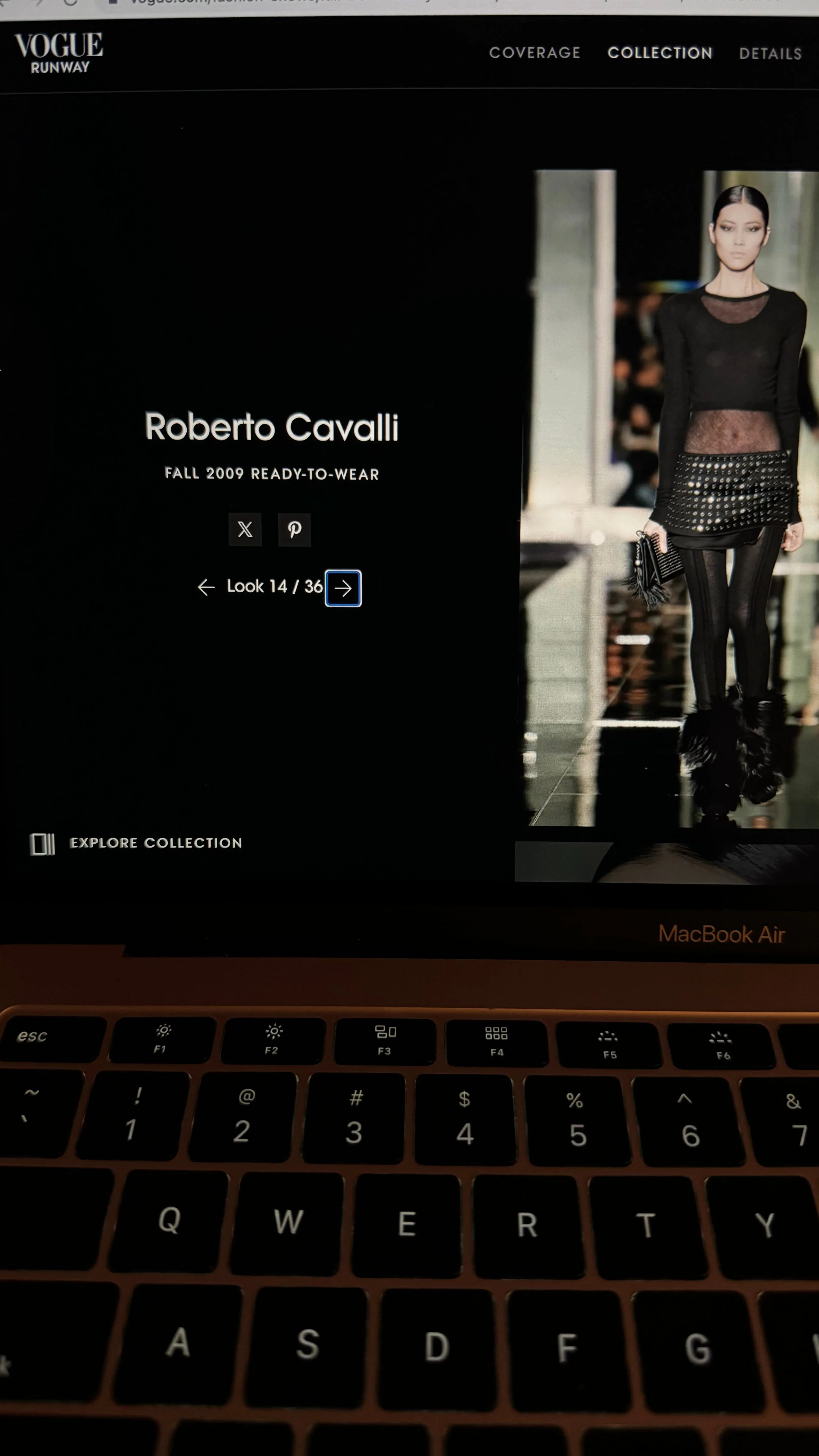 ROBERTO CAVALLI Shoes